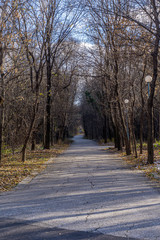 Path in park