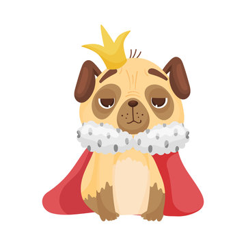 Cute pug in a king costume. Vector illustration on white background.