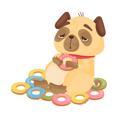 Pug with donuts. Vector illustration on white background.
