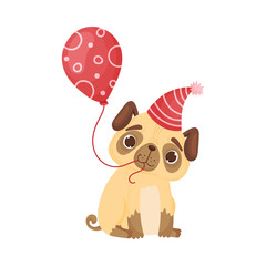 Cute pug in a festive cap with a balloon. Vector illustration on white background.