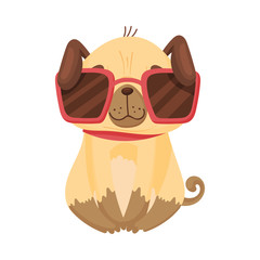 Cute pug in sunglasses. Vector illustration on white background.