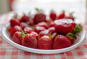 Ripe strawberries with a solid background and close-up.