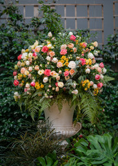 Flowers on display in Singapore