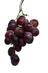 fresh red grapes isolated on a white background