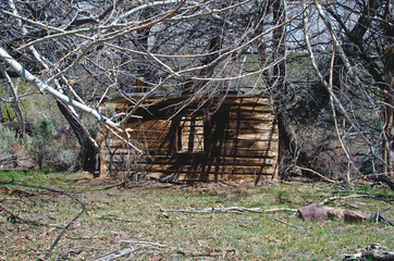 A front view of the burnt and charred old log cabin in the woods. 
