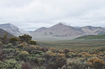 The cool cold sage covered back country utah landscape. 