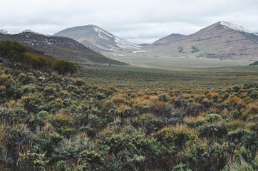 A wide open range of the sage covered utah landscape. 