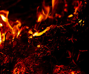 Fototapeta na wymiar flame of fire on a black background