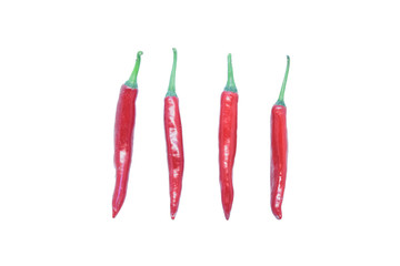 Group of red chili peppers isolated on white background as package design element