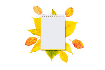 Empty notepad for writing or for a wish list on an autumn background of colored leaves isolated on...