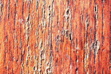 Beautiful texture of cracked old lacquered wood
