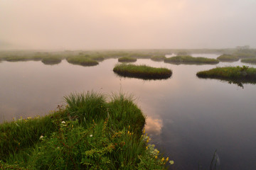 尾瀬ヶ原の池塘に浮かぶ浮島
