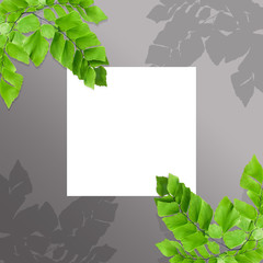creative layout made of flat leaves, flat design,