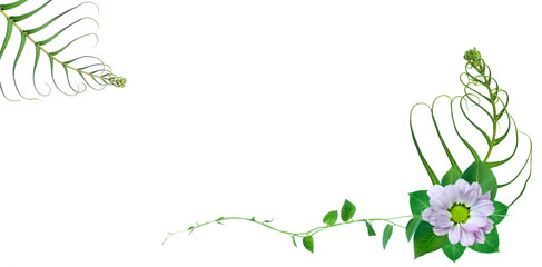 leaf composition, purpel flowers on white background. Spring and summer concept. Flat lay, top view, copy space