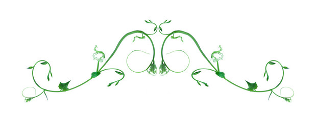 The unique top of the leaf forms an isolated forest border with a white background, creative layout, can be used as a logo with the concept of returning to nature, including the cliping path