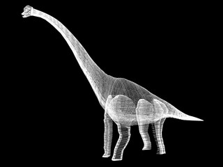 Diplodocus   dinosaurs  ,3d rendering wire frame