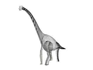 Diplodocus   dinosaurs  ,3d rendering wire frame
