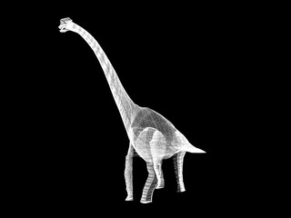 Diplodocus   dinosaurs  ,3d rendering wire frame