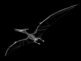 Pterosaur  dinosaurs  ,3d rendering wire frame