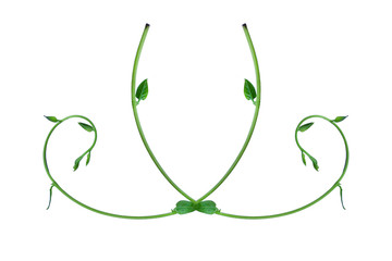 The unique top of the leaf forms an isolated forest border with a white background, creative layout, can be used as a logo with the concept of returning to nature, including the cliping path