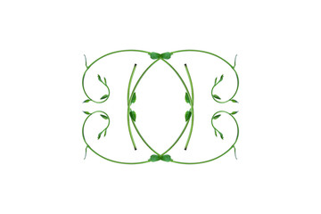 The unique top of the leaf forms an isolated forest border with a white background, creative layout, can be used as a logo with the concept of returning to nature, including the cliping path