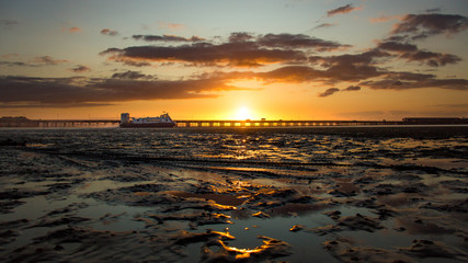 Gliding across the sands at sunset
