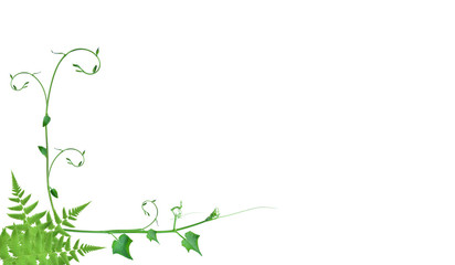 frame borders and creative layouts are made from twisted tropical leaves, isolated on white background, concept back to nature, save earth, including the cliping path 