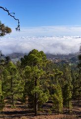 Obraz premium Taken from above the Clouds within the Tide National Park and looking down on the Coastal Lowlands of Tenerife in the Canary Islands.