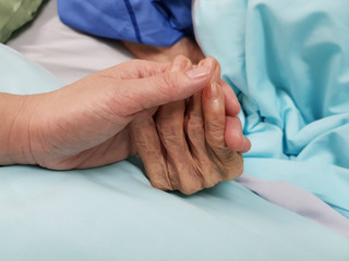 Holding grandmother's hand in the nursing care. Showing all love, empathy, helping and...