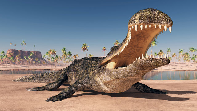 Prähistorisches Krokodil Sarcosuchus