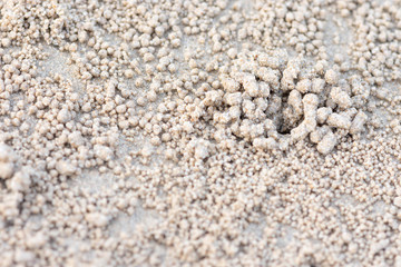 Sand-sand floor was making a round shape. This is natural, caused by the creation of the housing of the crab.