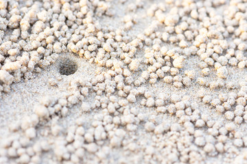 Sand-sand floor was making a round shape. This is natural, caused by the creation of the housing of the crab.