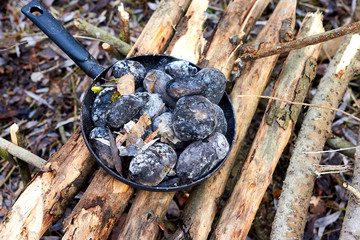 Baked potatoes in the coals in the pan