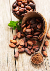 Raw cacao beans