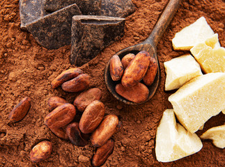 Cocoa beans and cocoa powder
