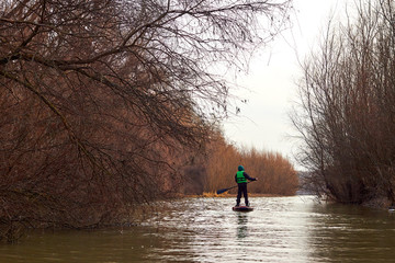 Boy rowing on stand up paddle boarding (SUP) paddling along the calm autumn Danube river against a background of trees at the shore. The concept of children's sports and tourism.