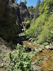 Randonnée le long de la rivière du bonheur, aigoual, occitanie, france