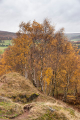 Stunning Autumn Fall landscape scene from Surprise View in Peak District in England