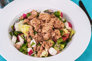  Seafood, Mediterranean cuisine. Salad from sea tuna fish with greens, cucumber, lemon and chili pepper, radish. Japanese food