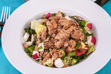  Seafood, Mediterranean cuisine. Salad from sea tuna fish with greens, cucumber, lemon and chili pepper, radish. Japanese food