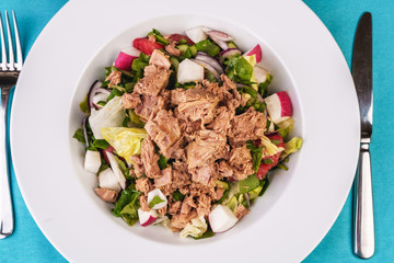  Seafood, Mediterranean cuisine. Salad from sea tuna fish with greens, cucumber, lemon and chili pepper, radish. Japanese food