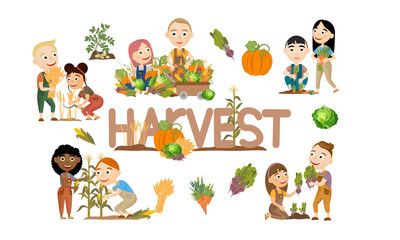 Set of cute girls and boys harvesting vegetables and cereals. Harvest cabbage, potatoes, carrots, beets, pumpkins, corn and wheat. Collection of people doing farming job. Vector illustration of kids