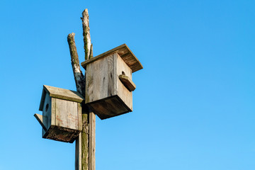 Two homemade wooden nesting boxes against blue sky background