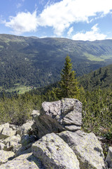 Fototapeta na wymiar Trail for The Stinky from area of Tiha Rila, Rila mountain, Bulgaria