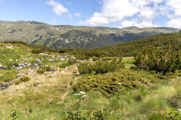 Fototapeta na wymiar Trail for The Stinky from area of Tiha Rila, Rila mountain, Bulgaria