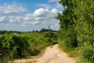 Fototapeta na wymiar The Cotswolds, Area of Outstanding Natural Beauty, has many public footpaths. Near Hawkesbury Upton towards the Somerset Monument, Gloucestershire, United Kingdom