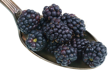 In the old golden spoon there is a small pile of food - ripe sweet garden blackberries fruits  isolated macro