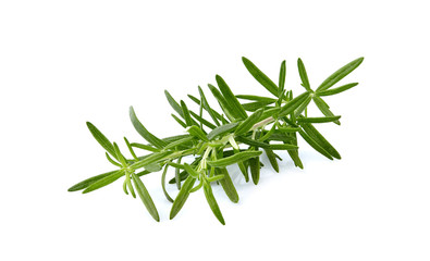 Fresh rosemary isolated on white background - Изображение