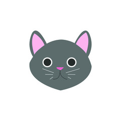 cute cat face , head pet friendly