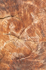 Texture of planed wood as background